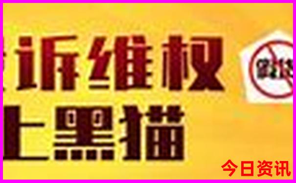 秦岭高山草甸一日游线路